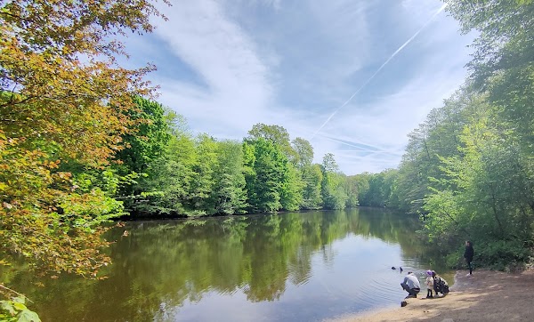 Frankfurt City Forest 1