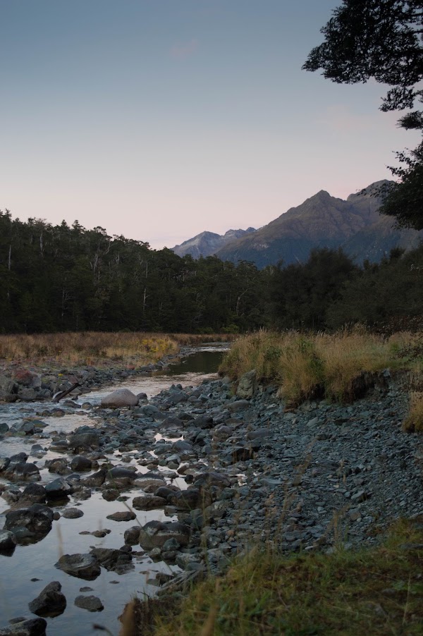 Cascade Creek Campsite (DOC) 3