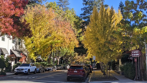 Calistoga 1
