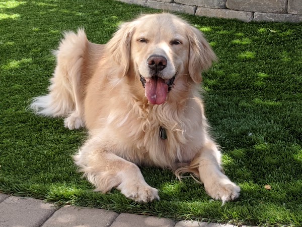 Berkeley Humane 3