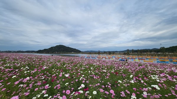 Baekje Cultural Festival
