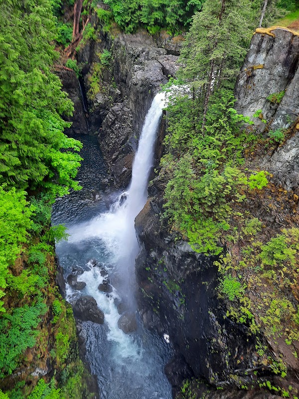 Vancouver island 6