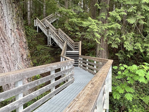 Elk Falls Provincial Park 4