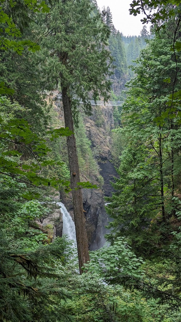 Elk Falls Provincial Park 3