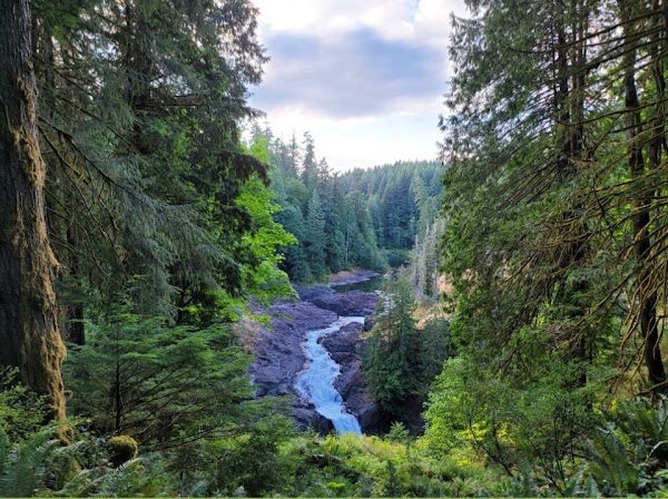 Elk Falls Provincial Park 2