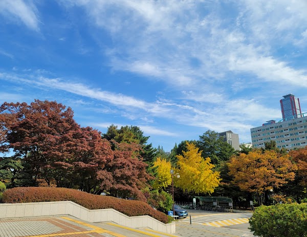 National Assembly Library 2