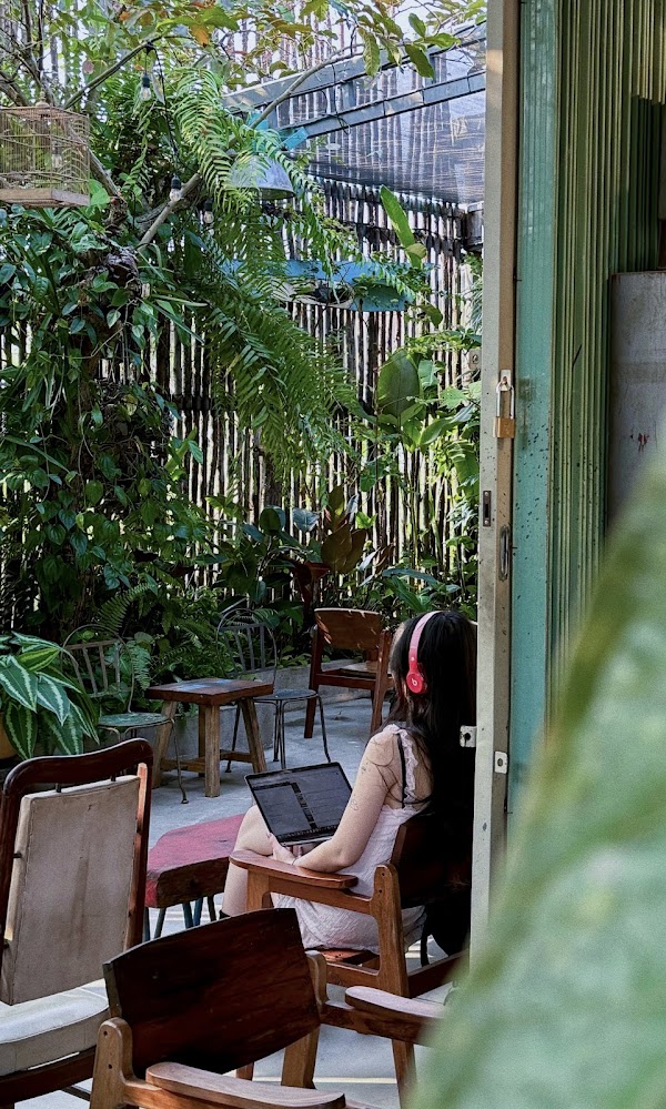 Nối - The Cabin