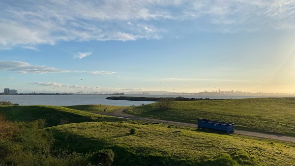 McLaughlin Eastshore State Seashore