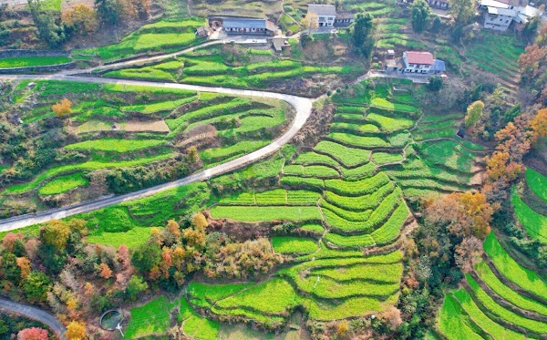 China 4