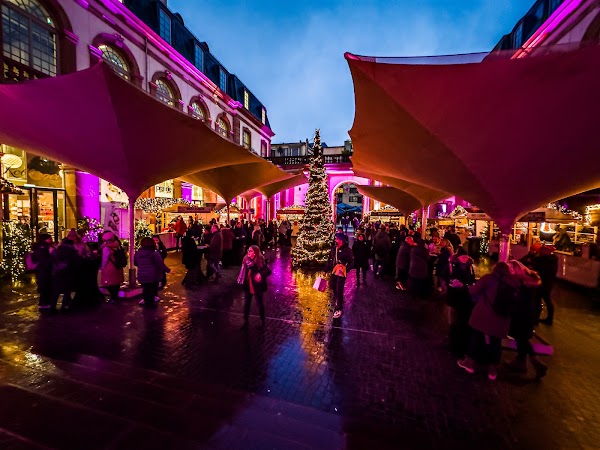 Palais Thurn und Taxis 2