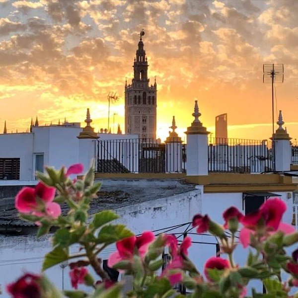 Seville 4