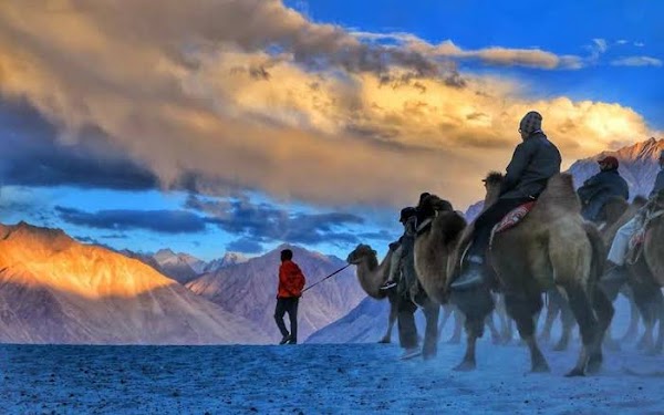 Nubra Valley 3