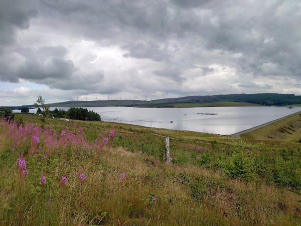 Llyn Brenig