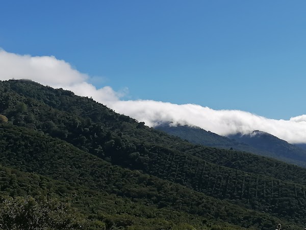 Cordillera de Apaneca