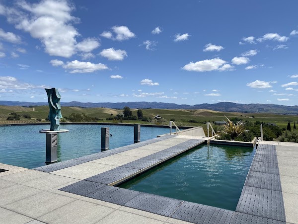 Artesa Vineyards & Winery 4