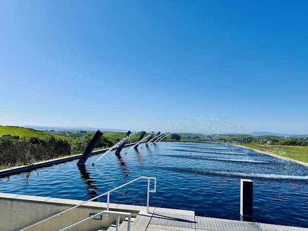 Artesa Vineyards & Winery 3