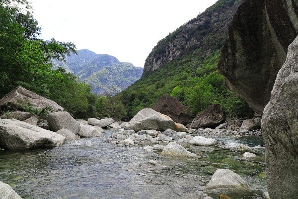 Foroglio 2