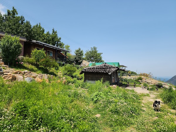 자연닮은치유농장 2