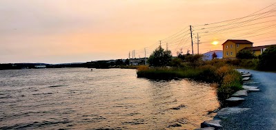 Quidi Vidi