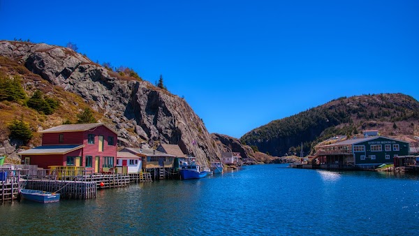 Quidi Vidi 4