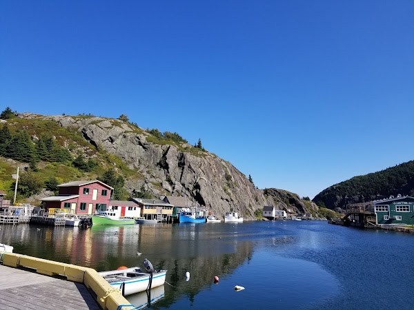Quidi Vidi 3