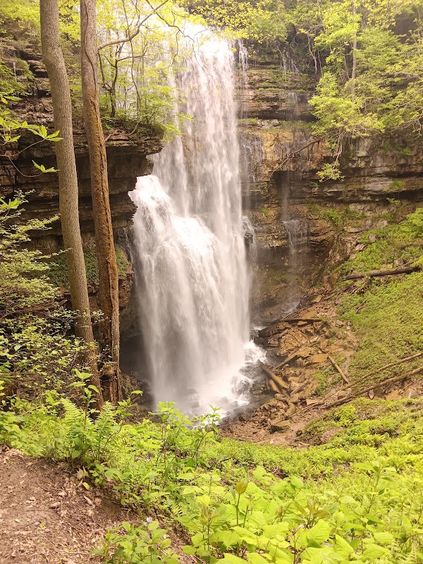 Virgin Falls