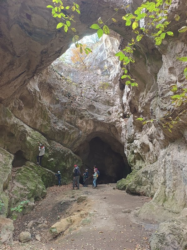 Jankovich Cave 1