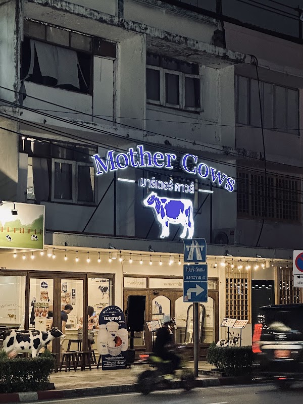 Mother Cows (Banthat Thong)