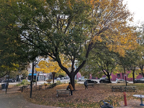 Sackville Playground 2