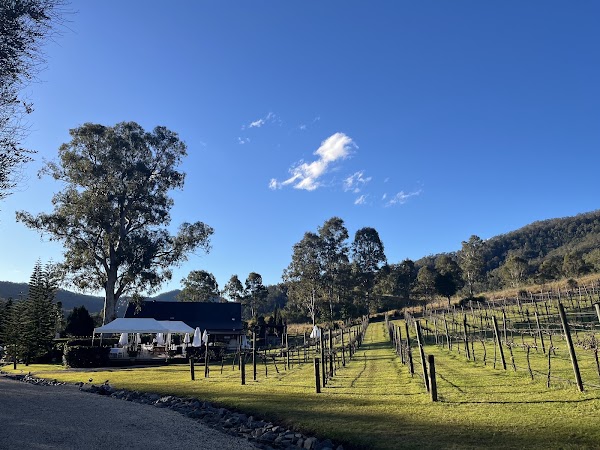 Sarabah Estate Vineyard 2