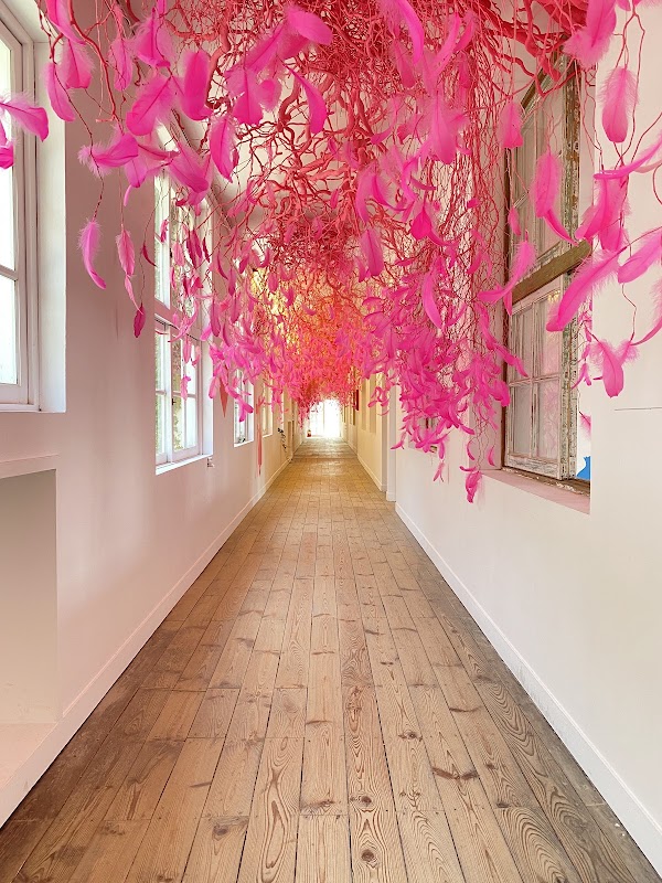 AMI Art Museum 4