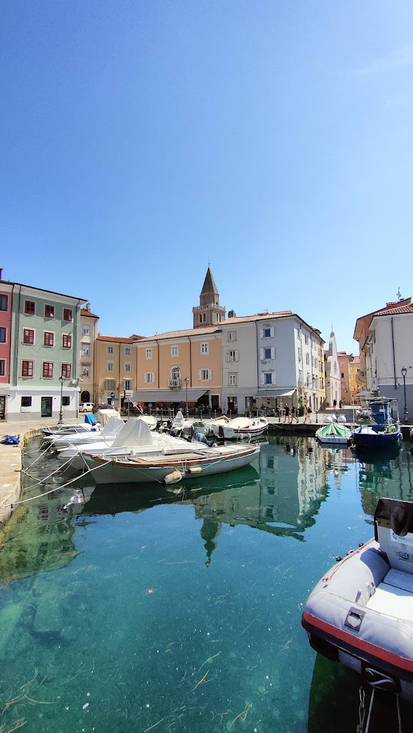 Muggia