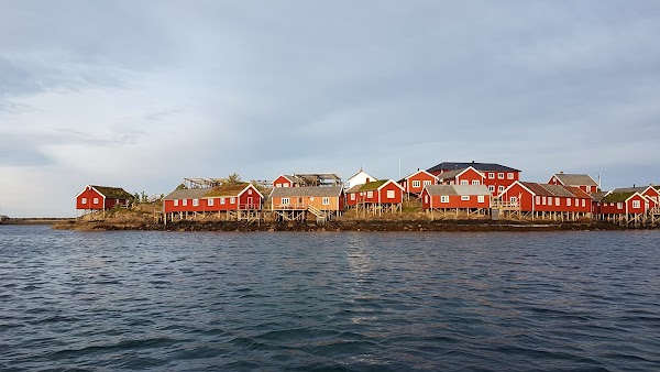 Reinefjorden 3