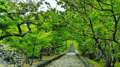 Nakijin Castle Ruins