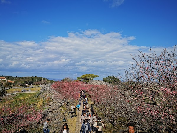 Nakijin Castle Ruins 2