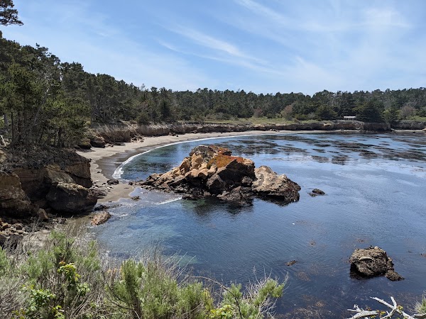 Whalers Cove 1