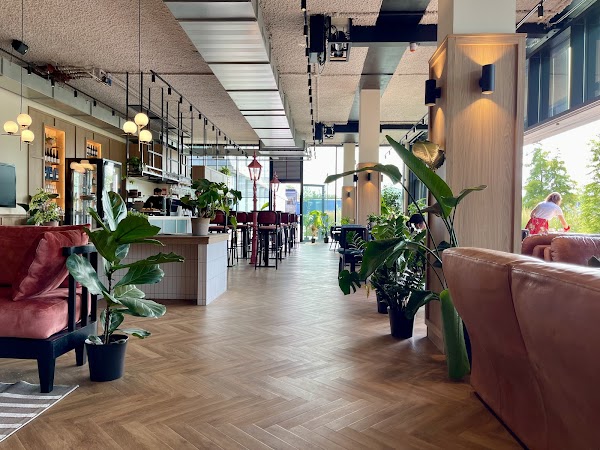 Velvet Square Café 3