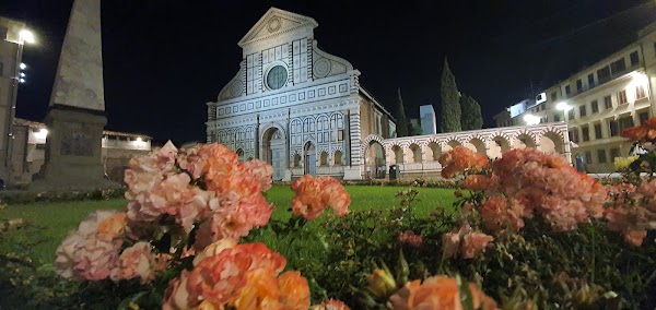 Santa Maria Novella 3