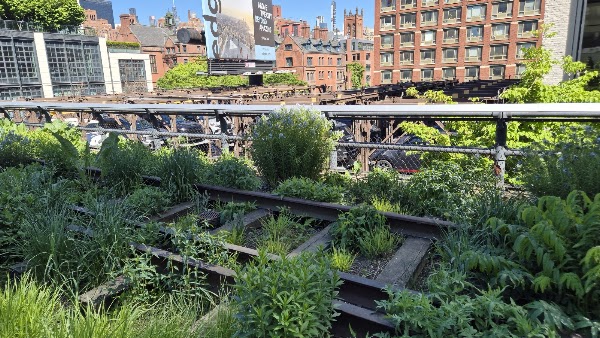 High Line Entrance Gansevoort and Washington 5