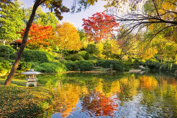 Japanese Garden 1