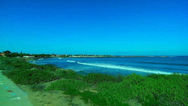 Dongara
