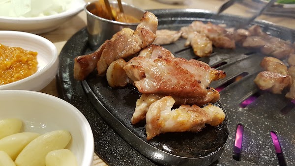 영남돼지 5