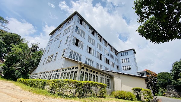 Ceylon Tea Museum