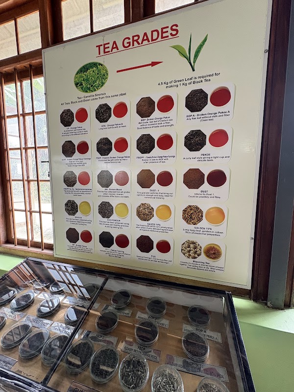 Ceylon Tea Museum 5