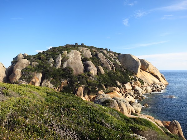 Tongue Point 5