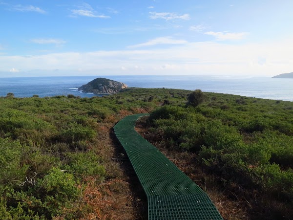 Tongue Point 2