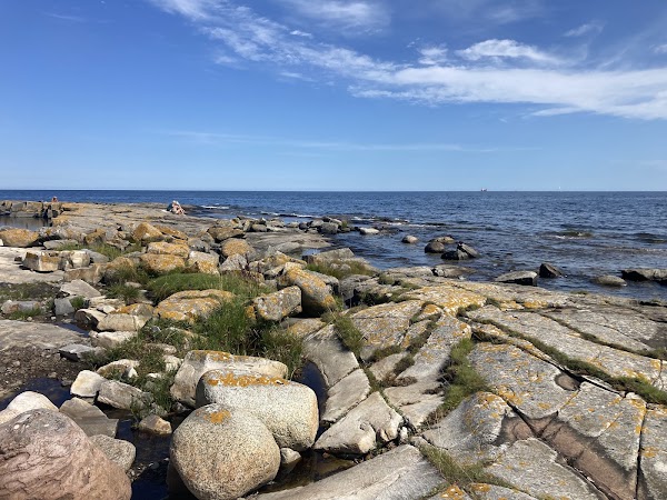 Simris strandängar