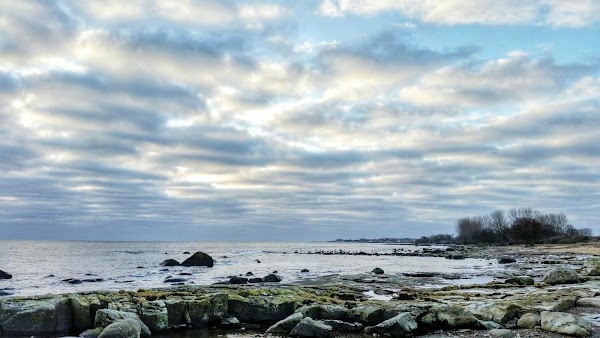 Simris strandängar 5
