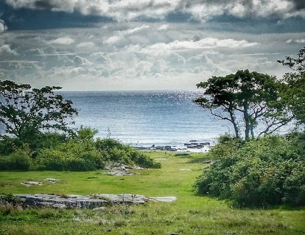 Simris strandängar 4
