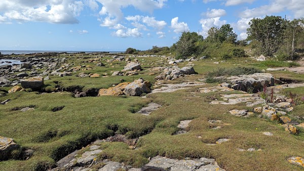 Simris strandängar 3